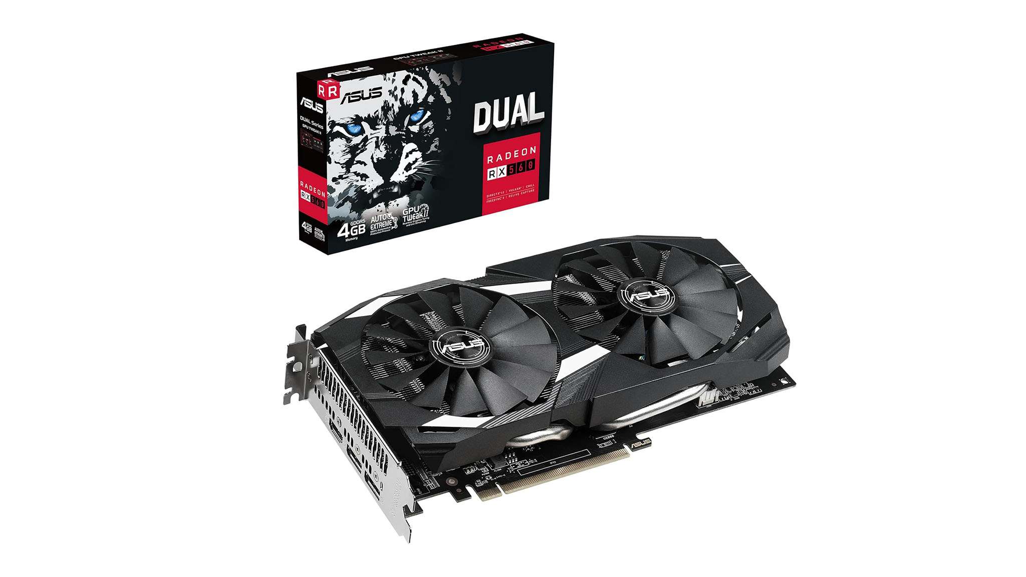 申花的球员 申花的球员