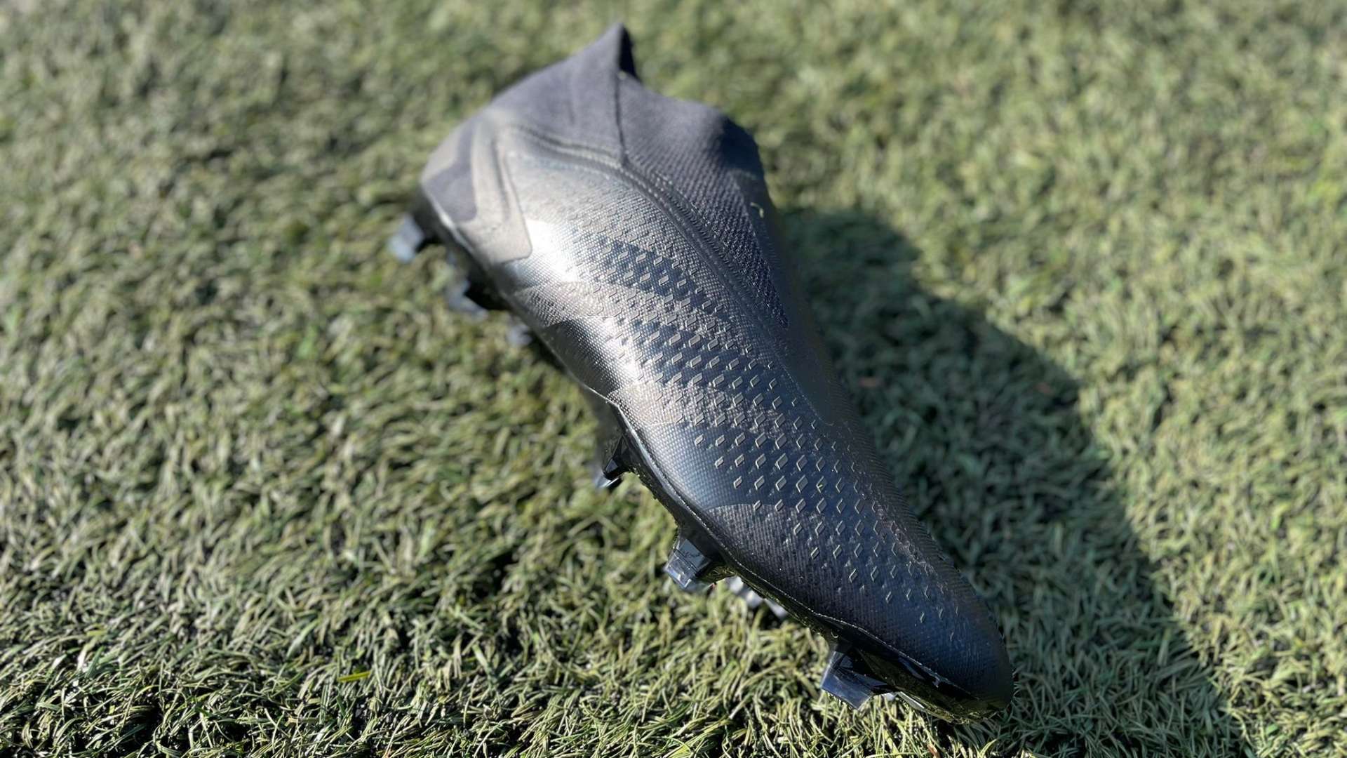 众多观众的 众多观众的